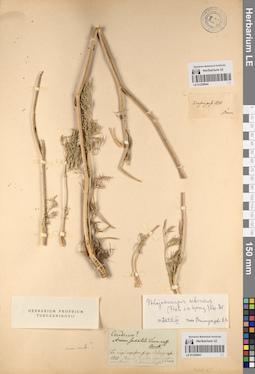 LE 01229044