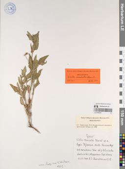 LE 01056702