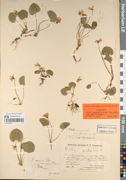 LE 01056718