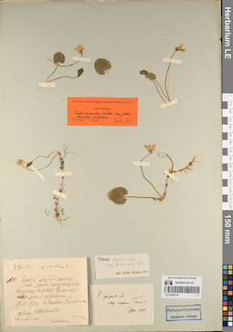 LE 01056719