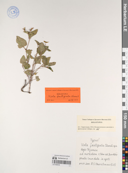 LE 01056726