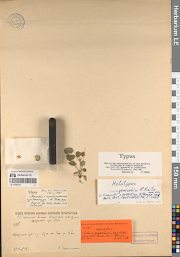 LE 01056728