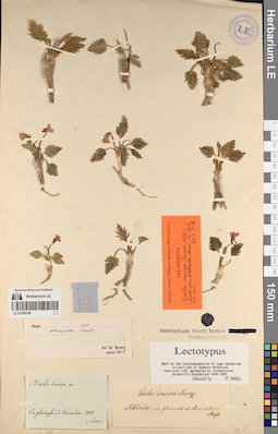 LE 01056748