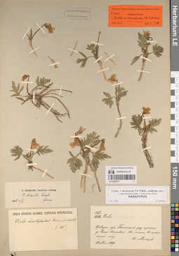 LE 01056757