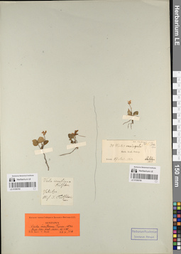 LE 01056766