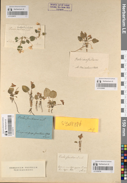 LE 01056770