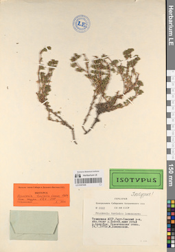 LE 01057439