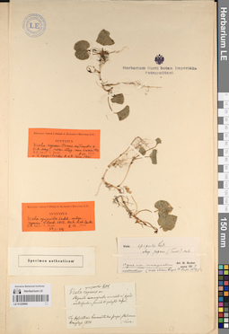 LE 01229060
