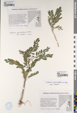 LE 01193773