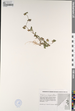 LE 01193792