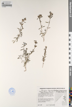 LE 01193819