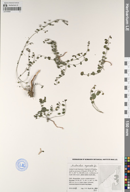LE 01193824