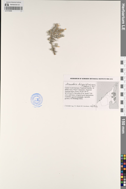 LE 01193839