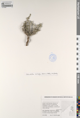 LE 01193850