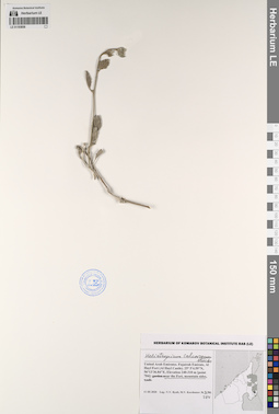 LE 01193858