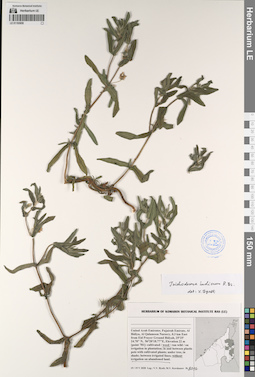LE 01193859