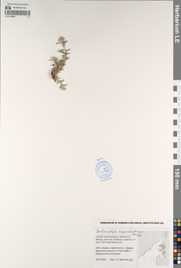 LE 01193866