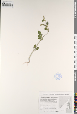 LE 01193875