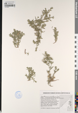 LE 01193878