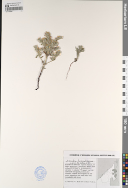 LE 01193881