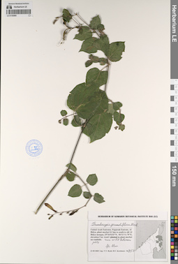 LE 01193895