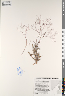 LE 01193907