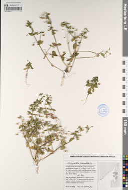 LE 01193917