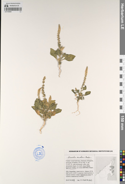 LE 01193935