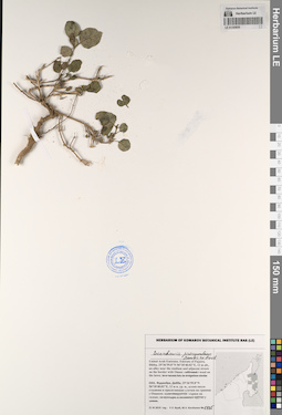LE 01193936