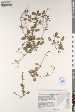 LE 01193939