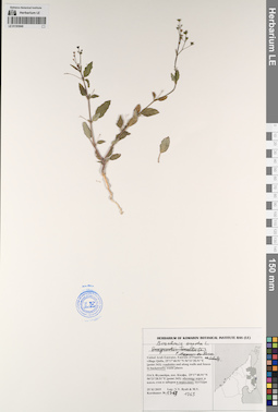 LE 01193940