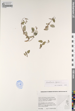 LE 01193946