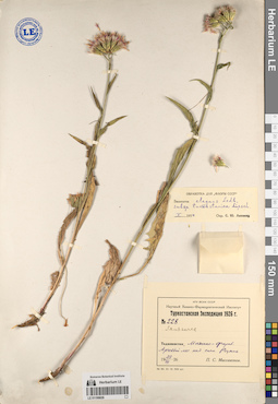 LE 01196826