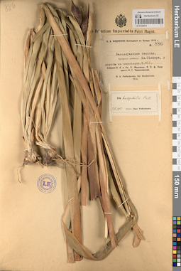 LE 01236014