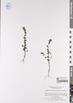 LE 01053799