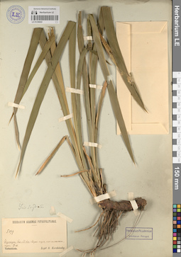 LE 01236022