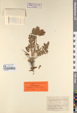 LE 01083748