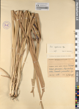 LE 01236027