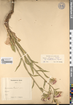 LE 01196844