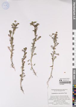 LE 01196384