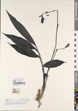 LE 01170510