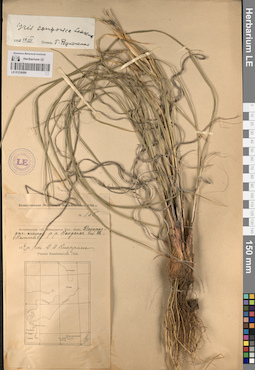 LE 01236080