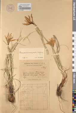 LE 01236082