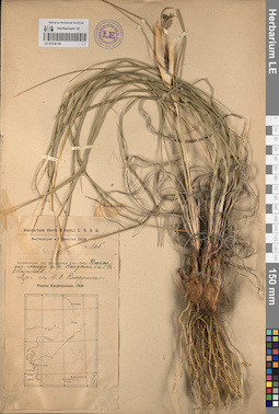 LE 01236105