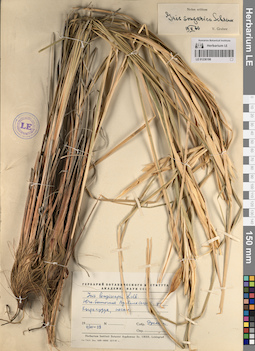 LE 01236198