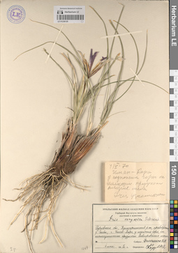 LE 01236125