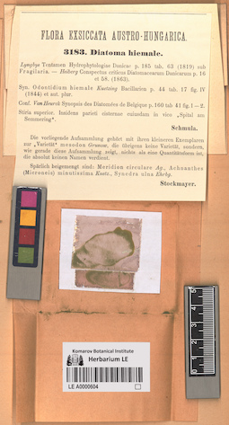 LE A0000604