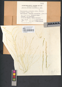 LE A0000643