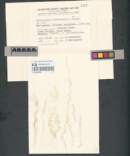 LE A0000649