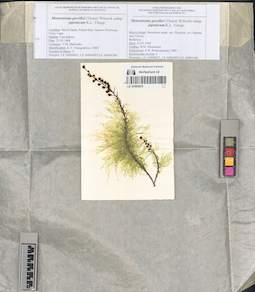 LE A0000653